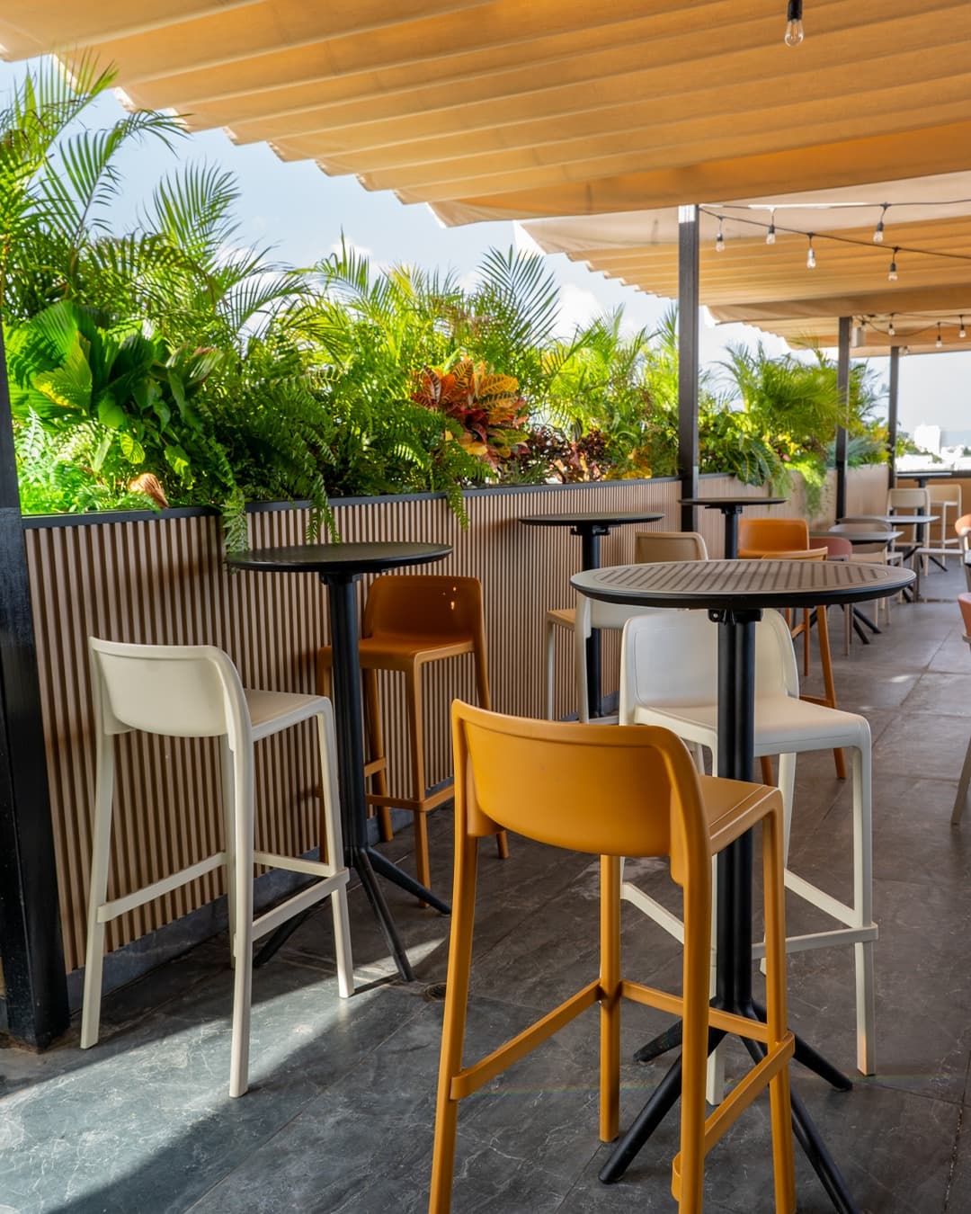 Terraza Completa para Celebraciones en Edificio Román