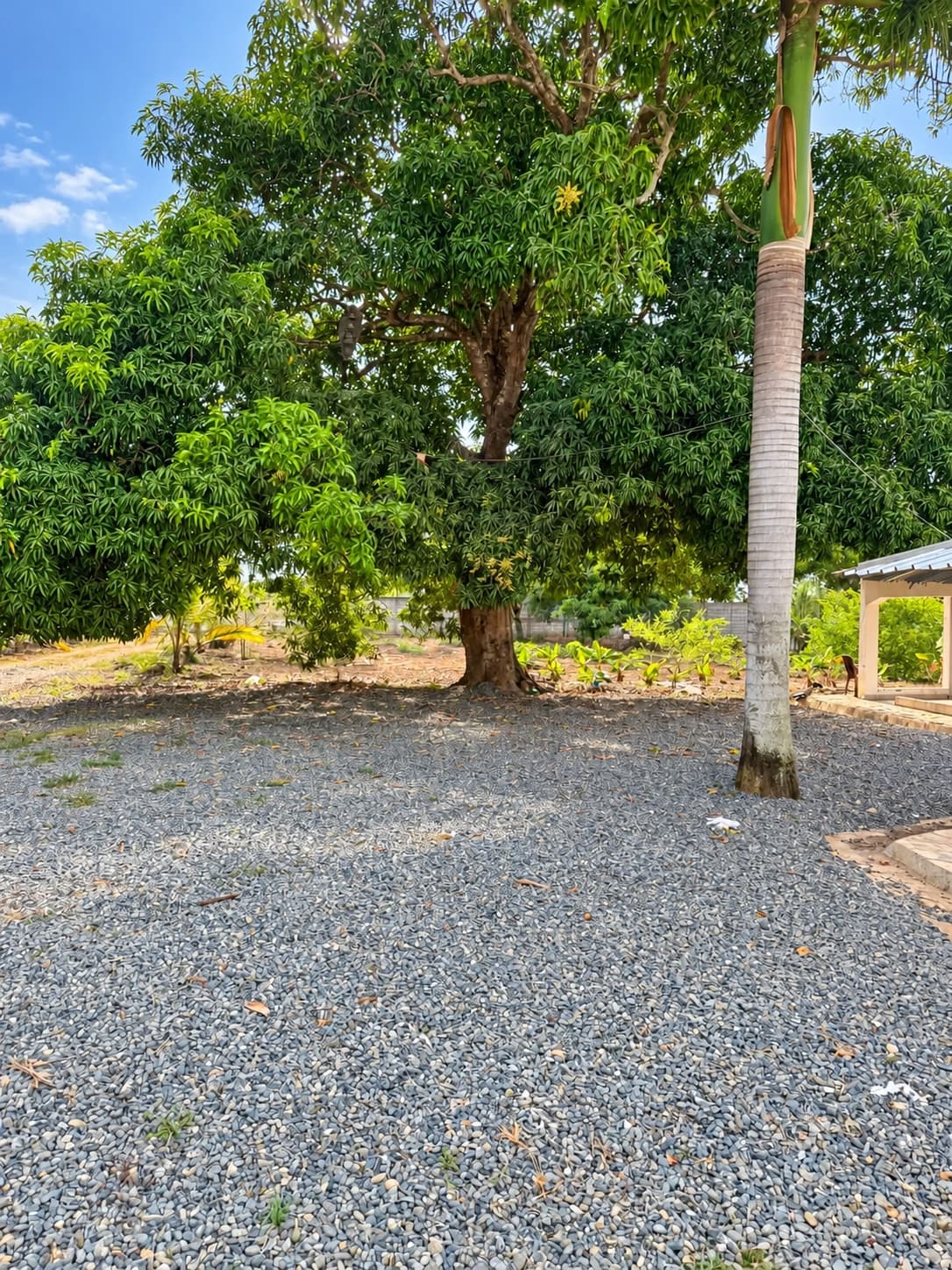 Villa Oasis del Señor — Pasadía con piscina y jacuzzi