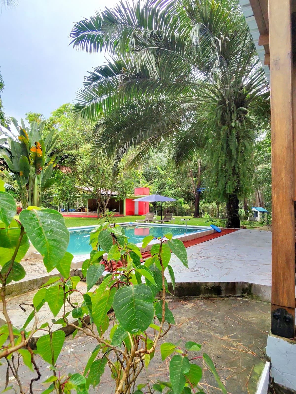 Rancho DF — Pasadía de campo con piscina en Monte Plata
