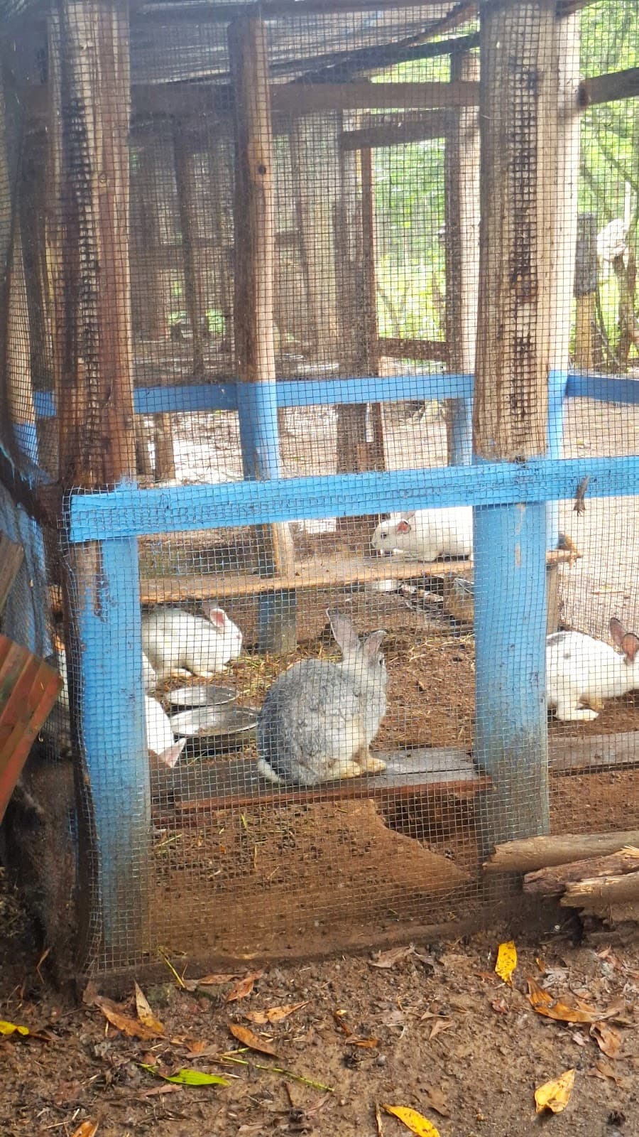 Rancho DF — Pasadía de campo con piscina en Monte Plata