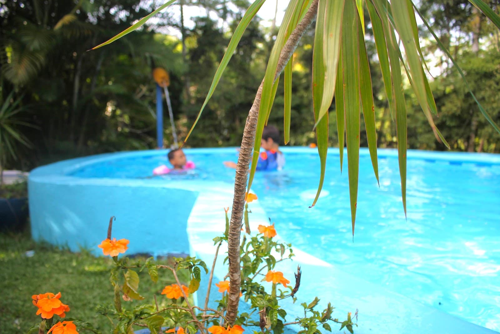 Rancho La Herradura — Pasadía con piscina y río en Pedro Brand